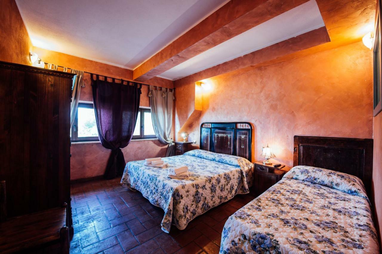 Agriturismo Il Noce Кастильоне-д'Орчия Экстерьер фото